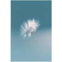 PosterMonkey Poster 20x30 cm - Paardenbloempluisje - Blauw - Lucht - Posters - Kamer decoratie - Wanddecoratie woonkamer - Muurdecoratie slaapkamer