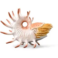 Collecta Figurine - Cooperoceras - (Xl) - Prehistorie - Handgeschilderd - Miniatuur