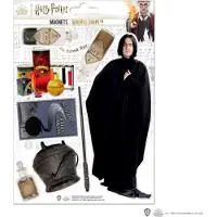 Cinereplicas Harry Potter Magneten Severus Snape