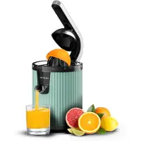 Cecotec Xqueeze RetroJuice 600 Slowjuicer 600 W Zwart, Groen, Roestvrijstaal