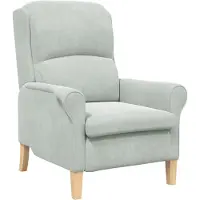vidaXL Fauteuil Lichtgrijs Fluweel