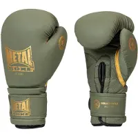 Metal Boxe Bokshandschoenen