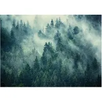 WALLARENA - Fotobehang - 400x280 cm - Fototapete van een bos in de mist, groen, voor slaapkamer en woonkamer, wanddecoratie