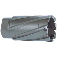 RUKO 108015 Cm2/cm3 Ø 15 Mm Holle Boor