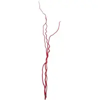 J-Line decoratie tak - riet - rood - medium - set van 3