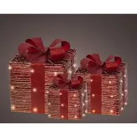 Lumineo Warm wit 65 Micro-LED Set van 3 cadeaudozen papier met strik rood