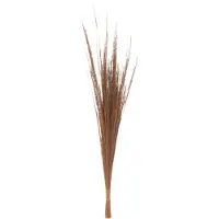 J-Line bosje 15 Grasspriet - gras - bruin