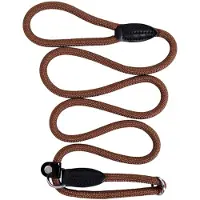 Lionto Retrieverine Hondenriem, hondenriem, treklijn, robuust, weerbestendig, lengte 170 cm, bruin