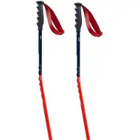 Swix World Cup Pro Donwhill Stokken