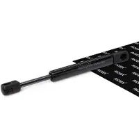 RIDEX 219G1016 Gasveer achterklep