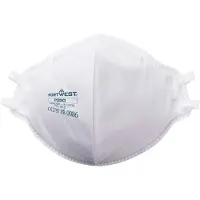 Eagle FFP3 Dolomite Fold Flat Respirator (20 Stuks)-1