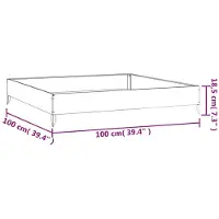 vidaXL Plantenbak verhoogd 100x100x18,5 cm cortenstaal
