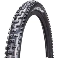 Chaoyang Rock Wolf Enduro Tubeless 29´´ X 2.35 Stijve Mtb-band