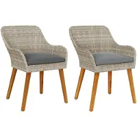vidaXL Tuinstoel 2 st Lichtgrijs poly rattan