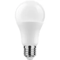 Technik E27 LED Lamp 13.7W - 1350lm - 2700K - Warm Wit - LED Globe A60 - Vervangt 91W Halogeen Gloeilamp