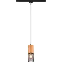 TRIO Hanglamp DUOLINE 73430132