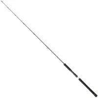 Daiwa Legalis Light Jigging Rod Zilver 1.91 m / 120 g