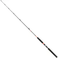 Daiwa Megaforce Trolling Rod Zilver 1.70 m / 50-80 Lbs