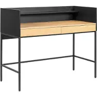 Happy Garden ARTHUR bureau met 2 lades in hout en zwart