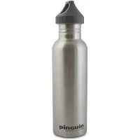 Pinguin S 0.8l Thermosfles Zilver