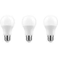 Technik LED Globelamp G80 E27 Mat - 11.1W 1055lm 2700K - Warmwit - Vervangt 75W - 3 stuks