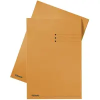 Esselte inlegmap karton met lijnbedrukking en 10 mm overslag oranje A4 (100 stuks)