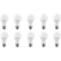 Technik LED Globelamp G80 E27 Mat - 13.7W 1350lm 2700K - Warmwit - Vervangt 91W - 10 stuks