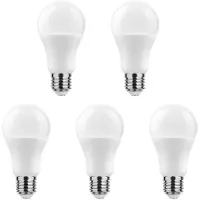 Technik LED Globelamp G80 E27 Mat - 13.7W 1350lm 6000K - Koudwit - Vervangt 91W - 5 stuks