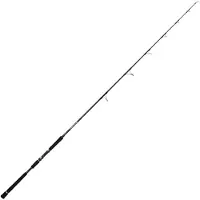 Hart Bloody Wild Pop Popping Rod Zilver 2.39 m / 40-160 g