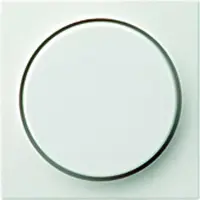 Gira Systeem 55 Besturingselement/Centrale plaat Schakelmateriaal - 065027 - E29G4