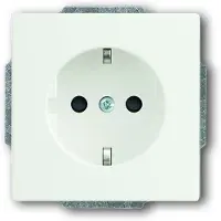Busch-Jaeger ABB Future Wandcontactdoos (WCD-Schakelmateriaal) - 2CKA002013A5333 - E2Q9X