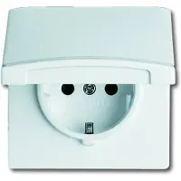 ABB 2CKA002064A0291 Apparaatinzetstuk Aanraakbeveiliging IP44 Bruin