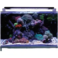 Aquadistri Reef 160 aquarium Blue Marine