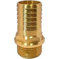 Goldenship M 1 1/2´´ Messing Rechte Connector 38 Mm