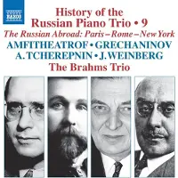 OUTHERE The Brahms Trio - History Of The Russian Piano Trio, Vol. 9 (CD)