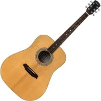 Pasadena PD-500 All Solid Natural Gloss Akoestische gitaar
