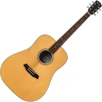 Pasadena PD-300 Natural Satin Akoestische gitaar