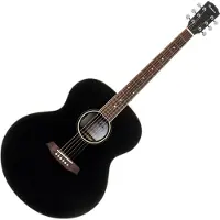 Pasadena PJ-300 Black Jumbo akoestische gitaar