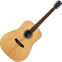 Pasadena PD-250 Open Pore Natural Akoestische gitaar