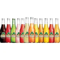 Jarritos Mixed Tray – Mexicaanse Frisdrank – 24 Glazen Flesjes – Alle Smaken – Grootverpakking