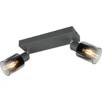 REALITY IMPORT LED Plafondspot E14 | Cadiz | Rond | Antraciet | IP20 | Lighting