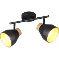 TRIO Design plafondlamp 2-lichts Valentin zwart