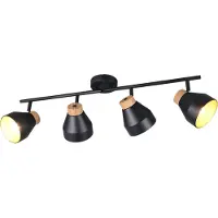 TRIO Design plafondlamp 4-lichts Valentin zwart
