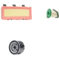 RIDEX 4055F8952 Filterset