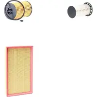 RIDEX 4055F8599 Filterset
