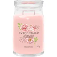 Yankee candle fresh cut roses large jar |