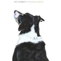 Konkurrent RM Hubbert - Breaks & Bone (CD)