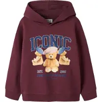 Name it Sweatshirt 'NKFRYCCA' blauw / lichtbruin / bourgogne / wit