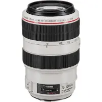 Canon EF 70-300mm f/4-5.6L IS USM (Canon EF, Volledig formaat), Objectief, Wit, Zwart