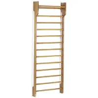 Toorx Single Wallbar - enkel wandrek 90 x 250